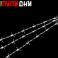 Группа Пули-Дни