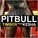 Pitbull Feat. Kesha — Зажигаем Timber (Dj Flip & Dj Chivas Mashup)